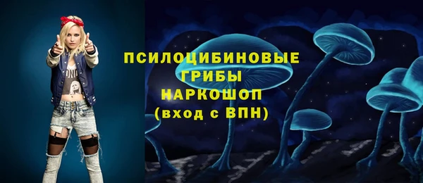 a pvp Михайловск