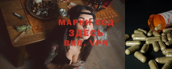СК Михайловка