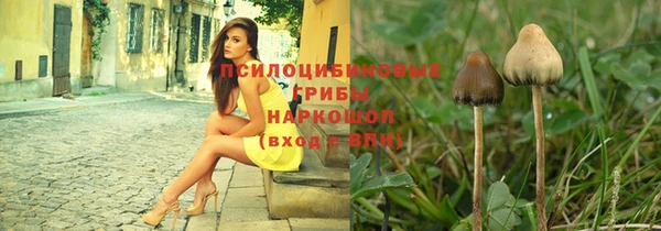 СК Михайловка