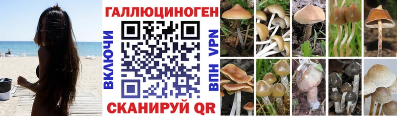Галлюциногенные грибы прущие грибы  Химки 