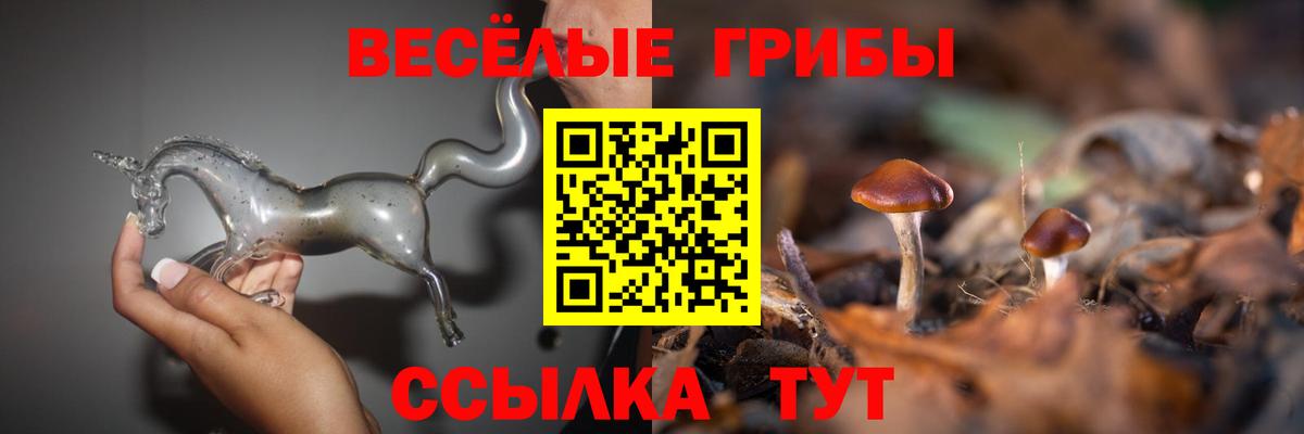 Псилоцибиновые грибы Magic Shrooms  закладка  Химки  Вход с VPN 